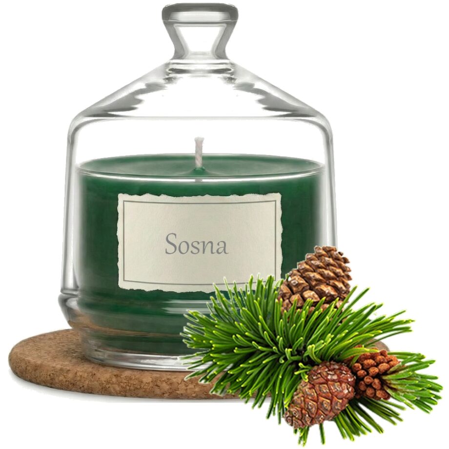 Świeca Zapachowa 280ml SOSNA w Szkle | Świeca Sojowa, Czas palenia: ok. 85h, HANDMADE | z Korkową Podkładką, Seria: Glass 280ml