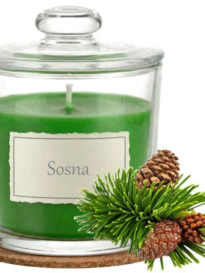 Świeca Zapachowa 440ml SOSNA w Szkle | Świeca Sojowa, Czas palenia: ok. 140h, HANDMADE | z Korkową Podkładką, Seria: Glass 440ml